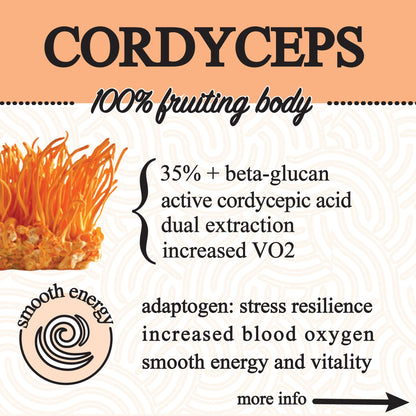 Adaptive Cacao Mushroom Superfood Drink