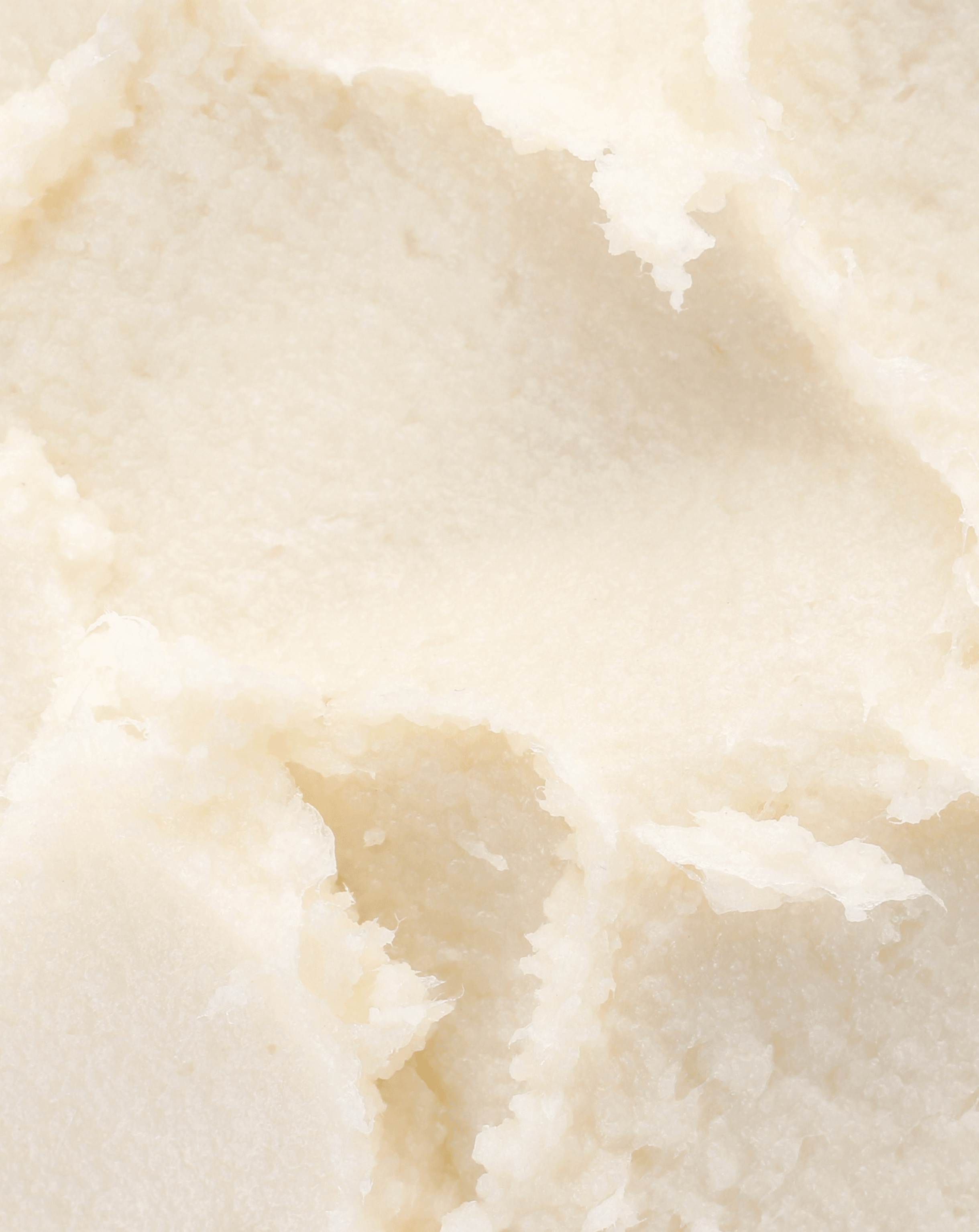 Wild Haven Skin CAKE BALM / vanilla bean