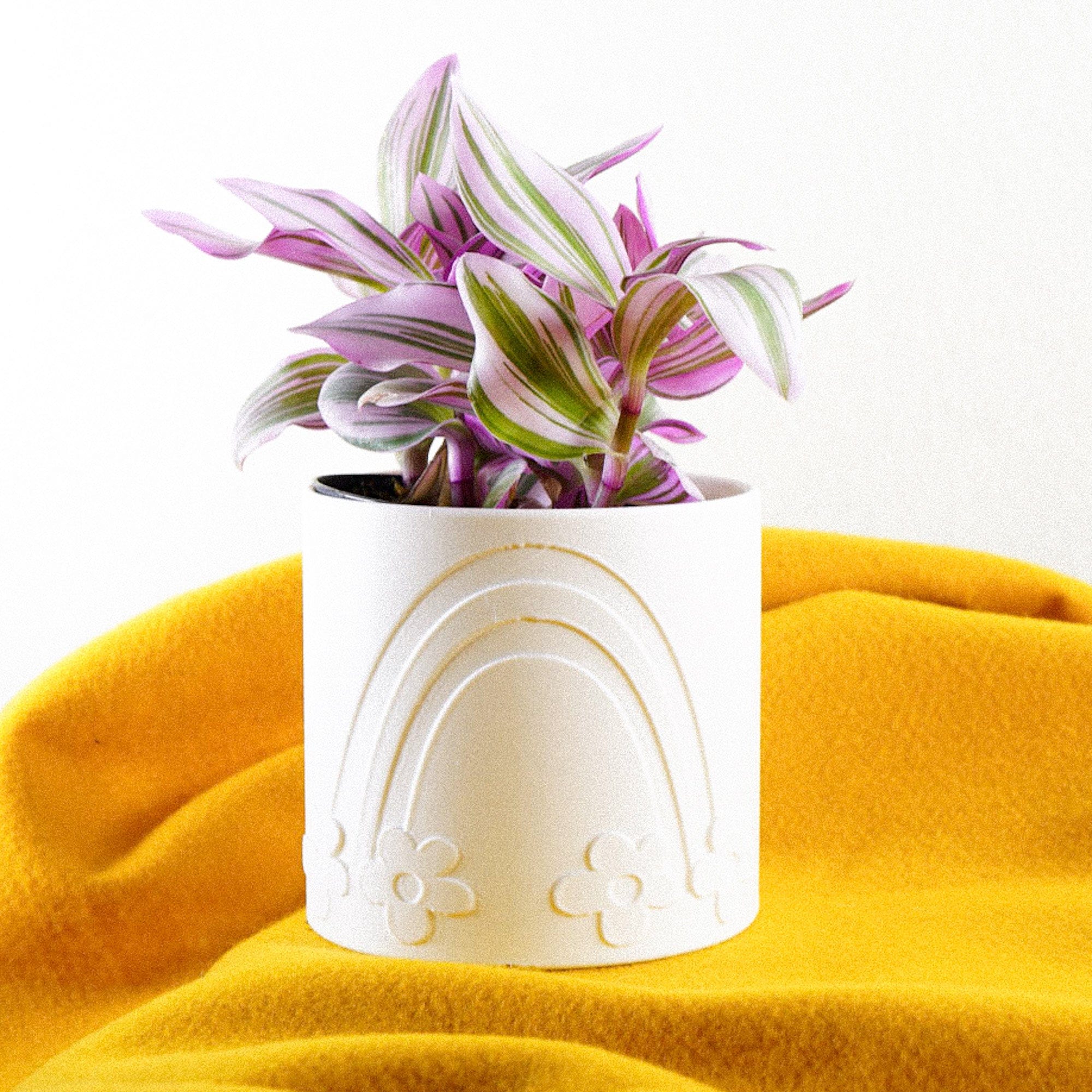 Rosebud HomeGoods Pots &amp; Planters Daisy Rainbow Planter