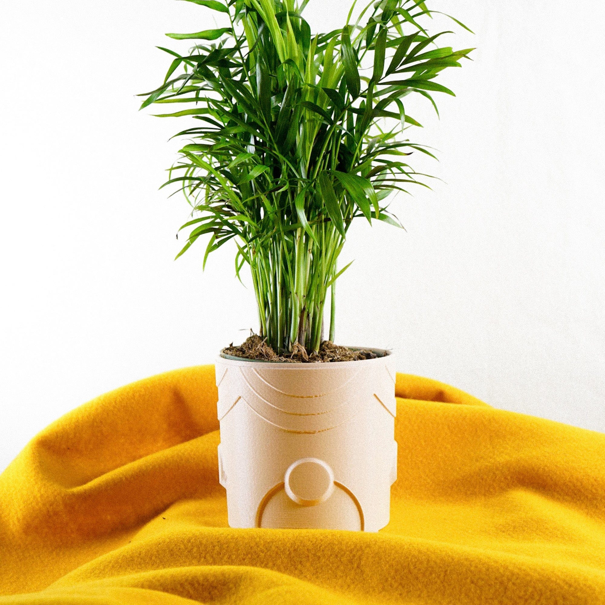 Rosebud HomeGoods Pots &amp; Planters Deep Space Planter