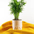 Rosebud HomeGoods Pots & Planters Deep Space Planter