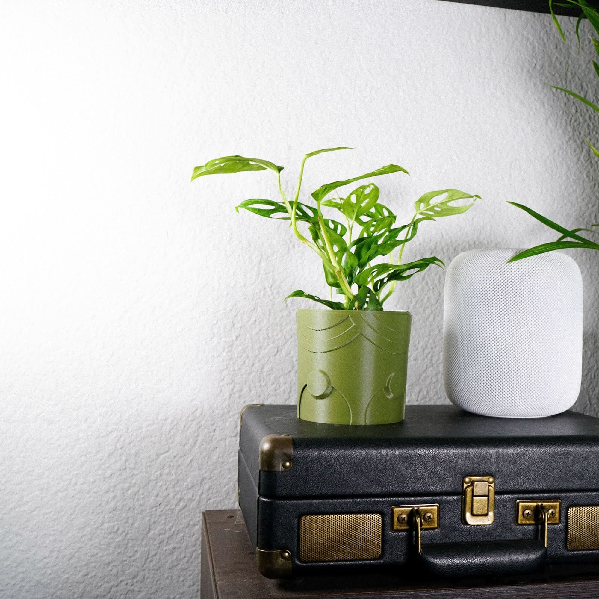 Rosebud HomeGoods Pots &amp; Planters Deep Space Planter