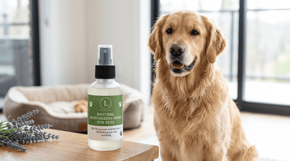 Lizush Pet Accessories Pet Pampering Gift Box -All-Natural Pet Wellness Kit – Soothing Balms &amp; Herbal Coat Powder