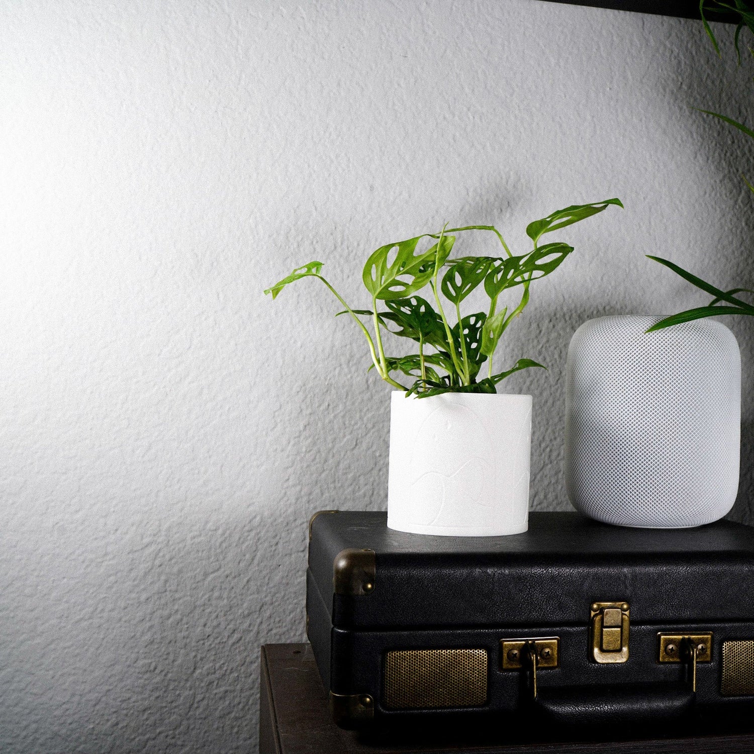 Desert Scape Planter - My American Goods