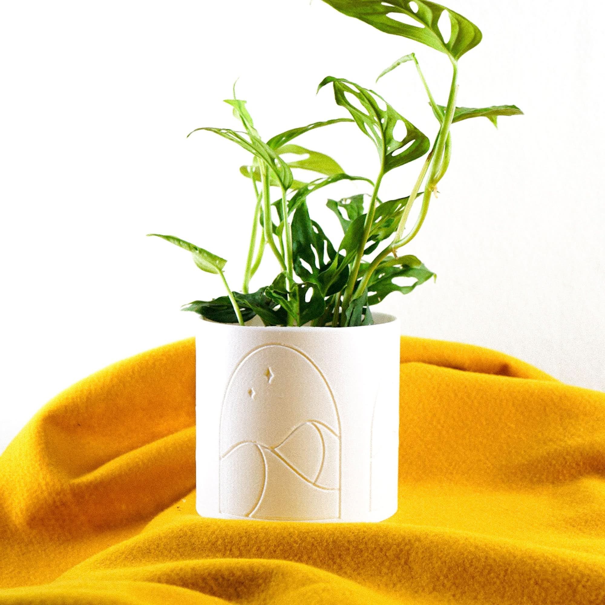 Rosebud HomeGoods Pots &amp; Planters Desert Scape Planter