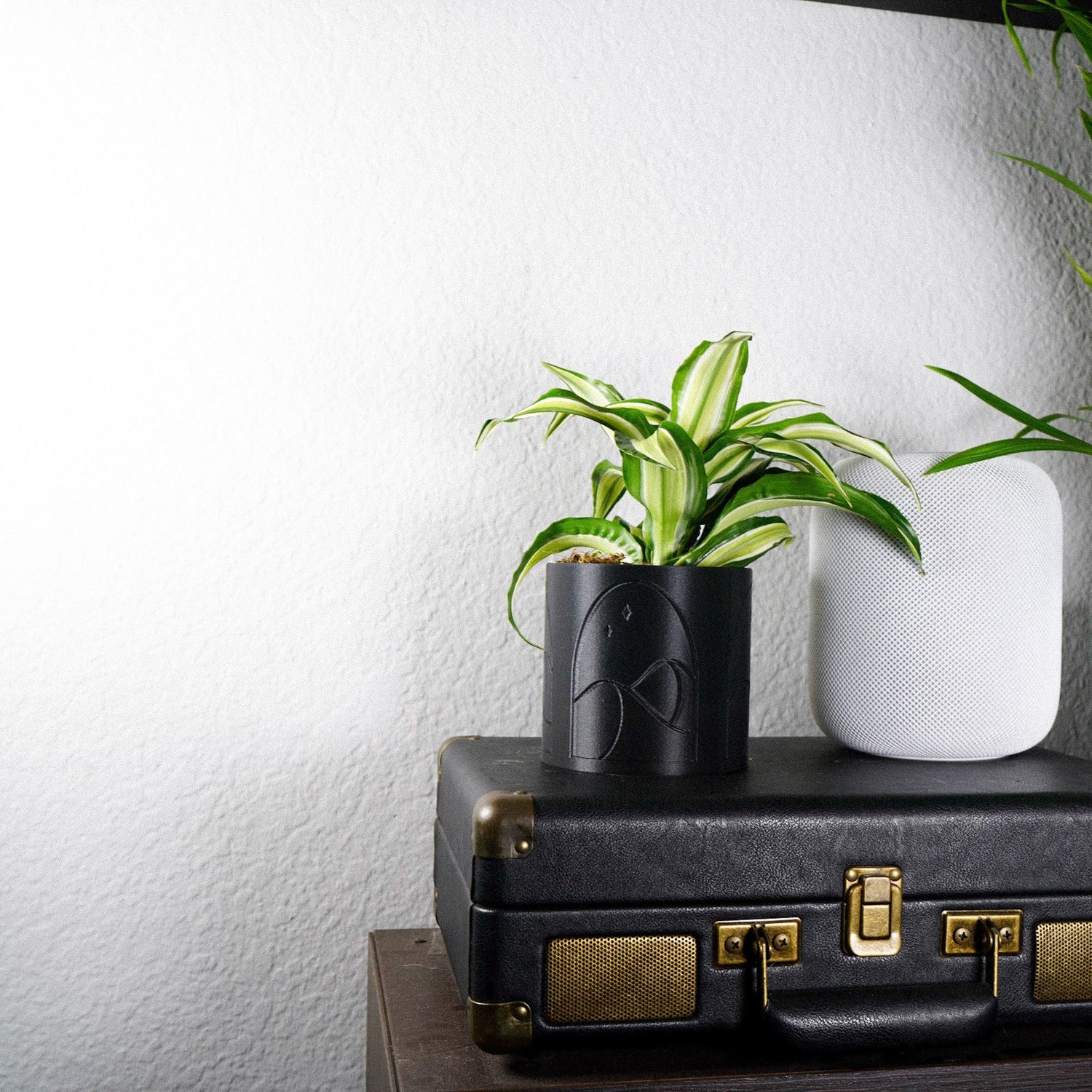 Desert Scape Planter - My American Goods