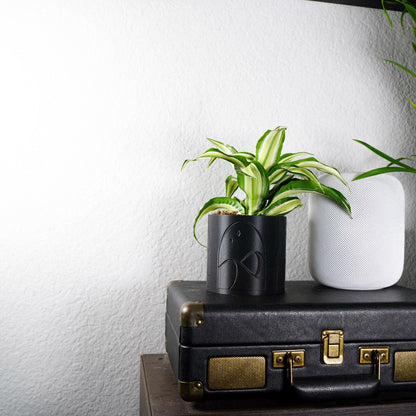Desert Scape Planter - My American Goods