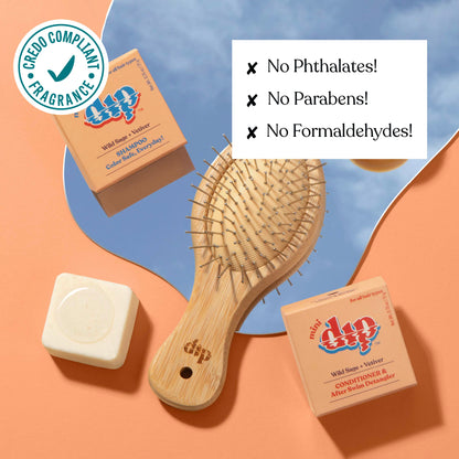 Mini Dip Shampoo Bar: Color Safe, Everyday - Wild Sage &amp; Vetiver