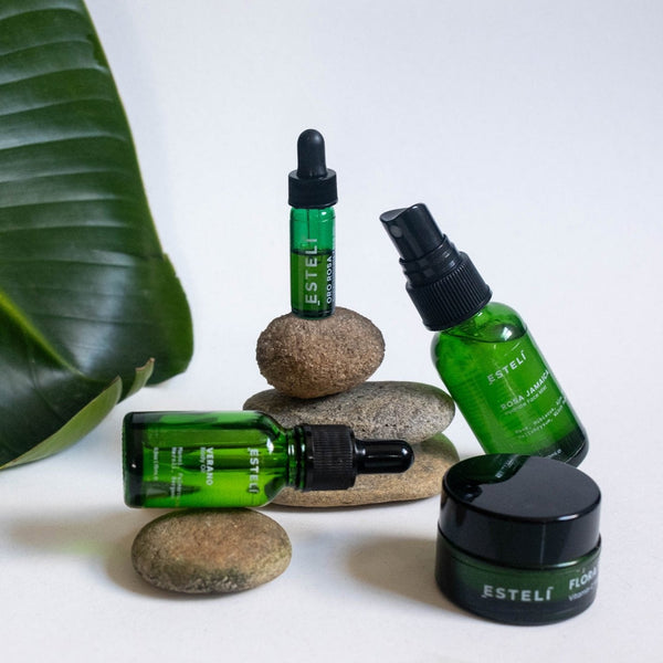 The Discovery Kit - My American Goods