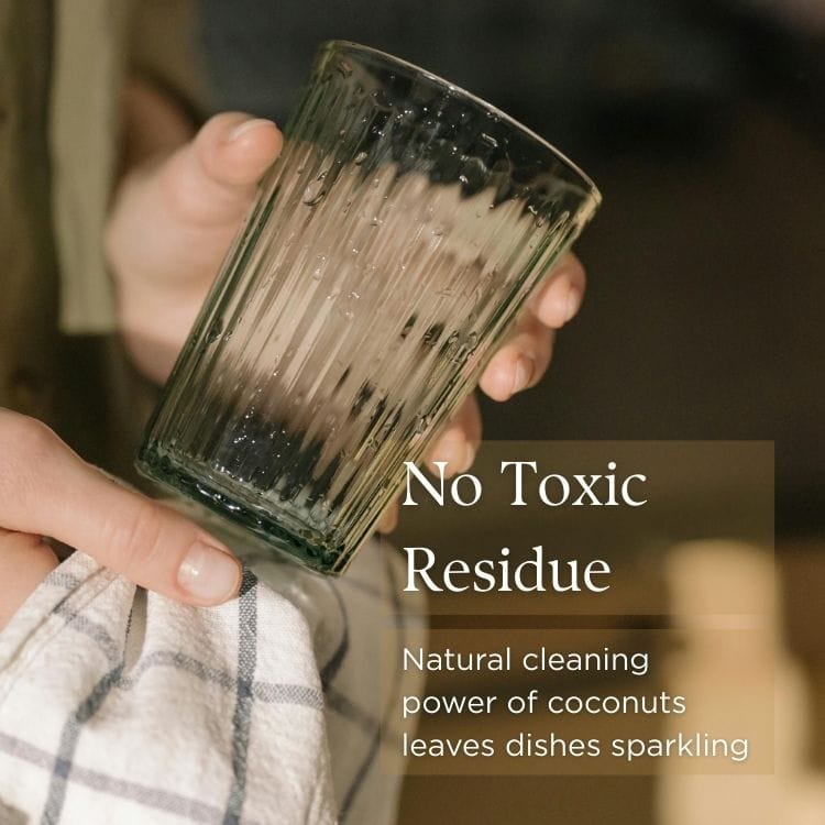 PROV 31™ Soap Dish &amp; Laundry Soap Block