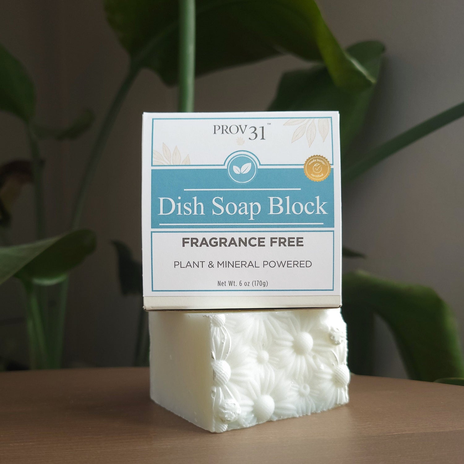 PROV 31™ Soap Dish &amp; Laundry Soap Block