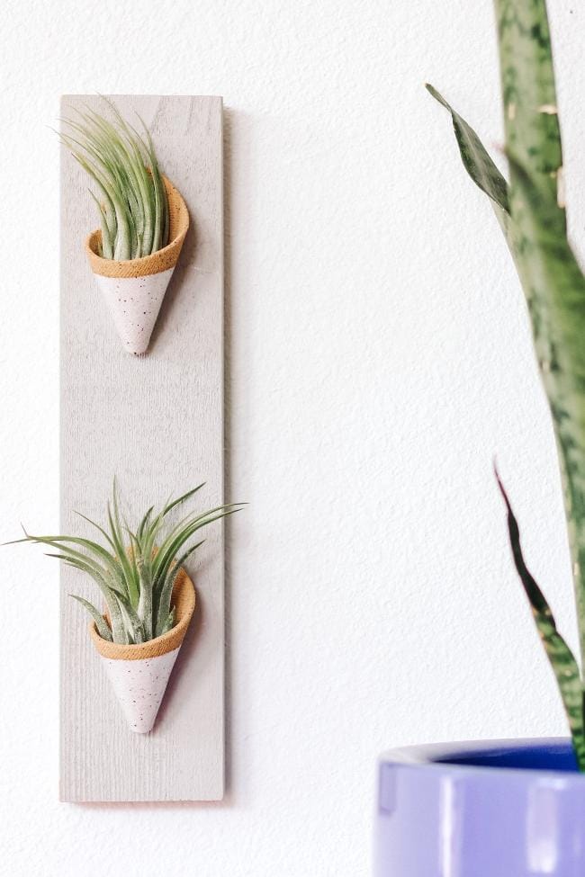 Carter + Rose Speckled White / With Plant Double Ceramic Wall Planter