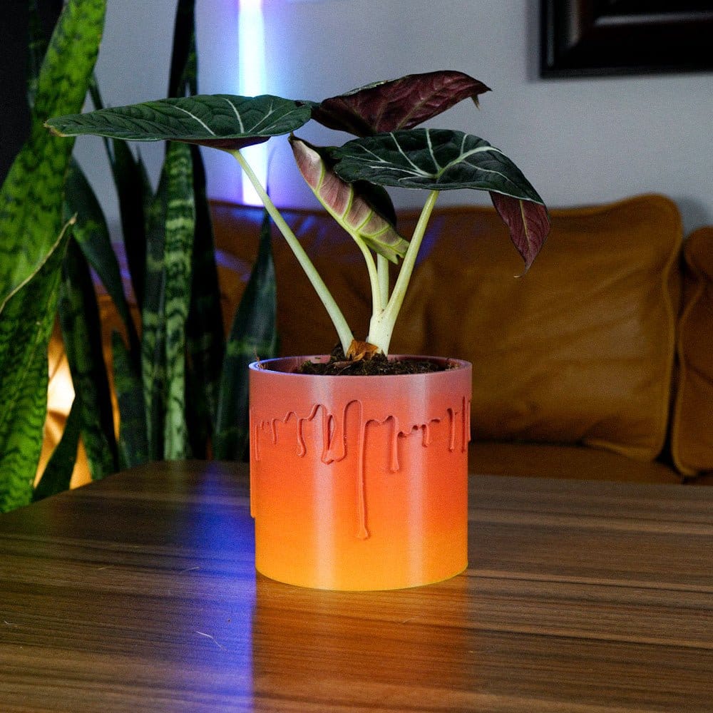 Rosebud HomeGoods Pots &amp; Planters Drip Planter