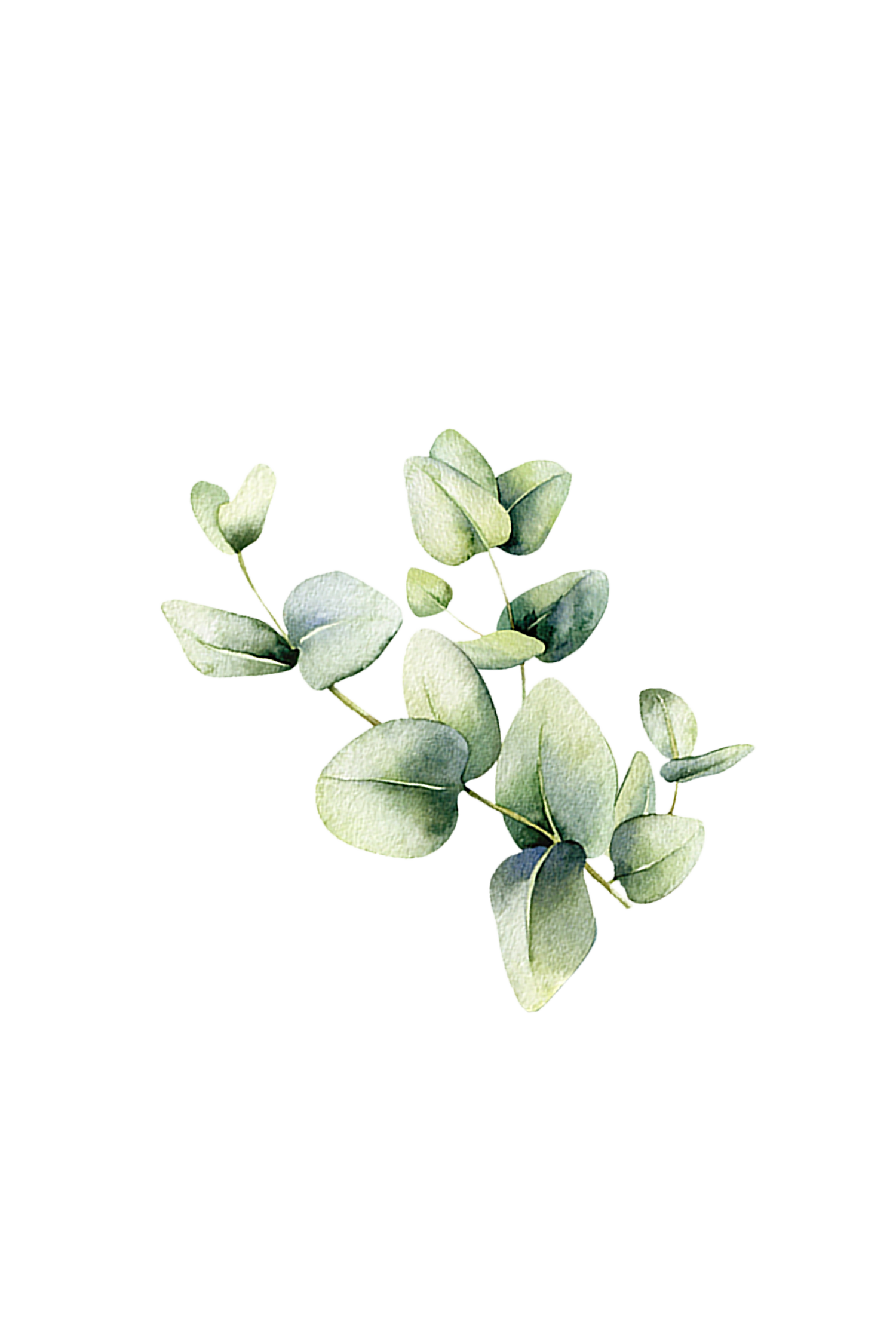 Room Spray | Eucalyptus