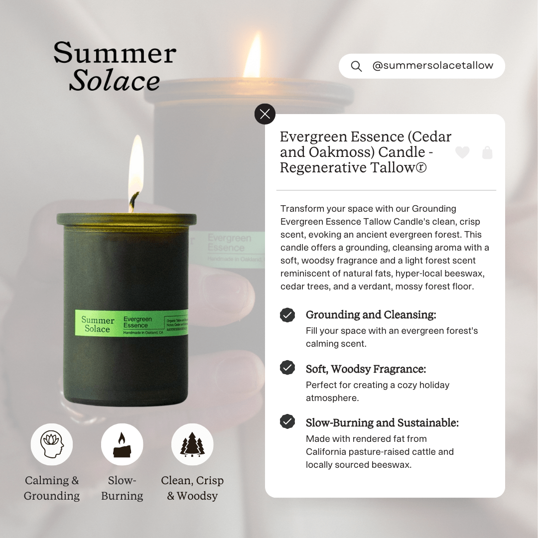 Summer Solace Tallow Tallow Candle Evergreen Essence – Travel Candle | Cedar &amp; Oakmoss