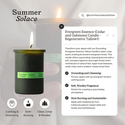 Evergreen Essence – Travel Candle | Cedar &amp; Oakmoss - My American Goods