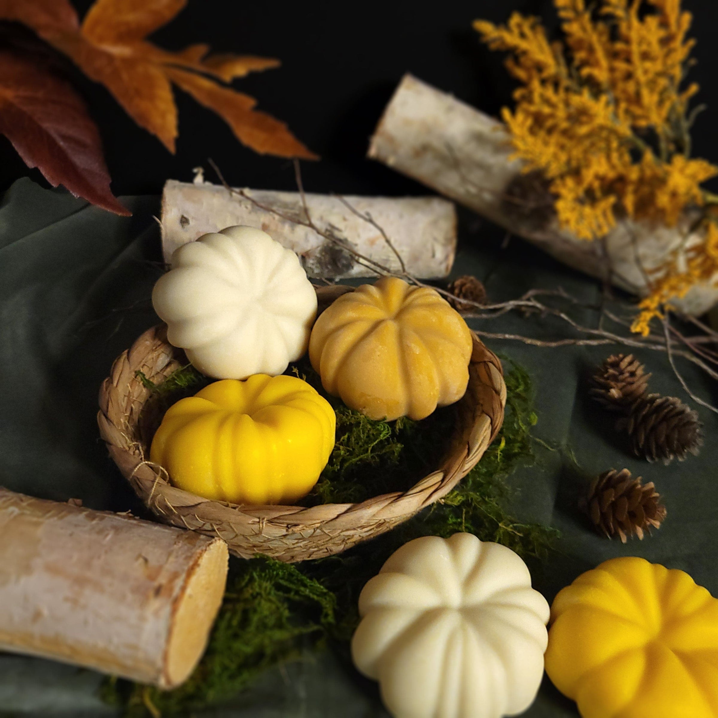 PROV 31™ Soap Bar Soap: Bounty