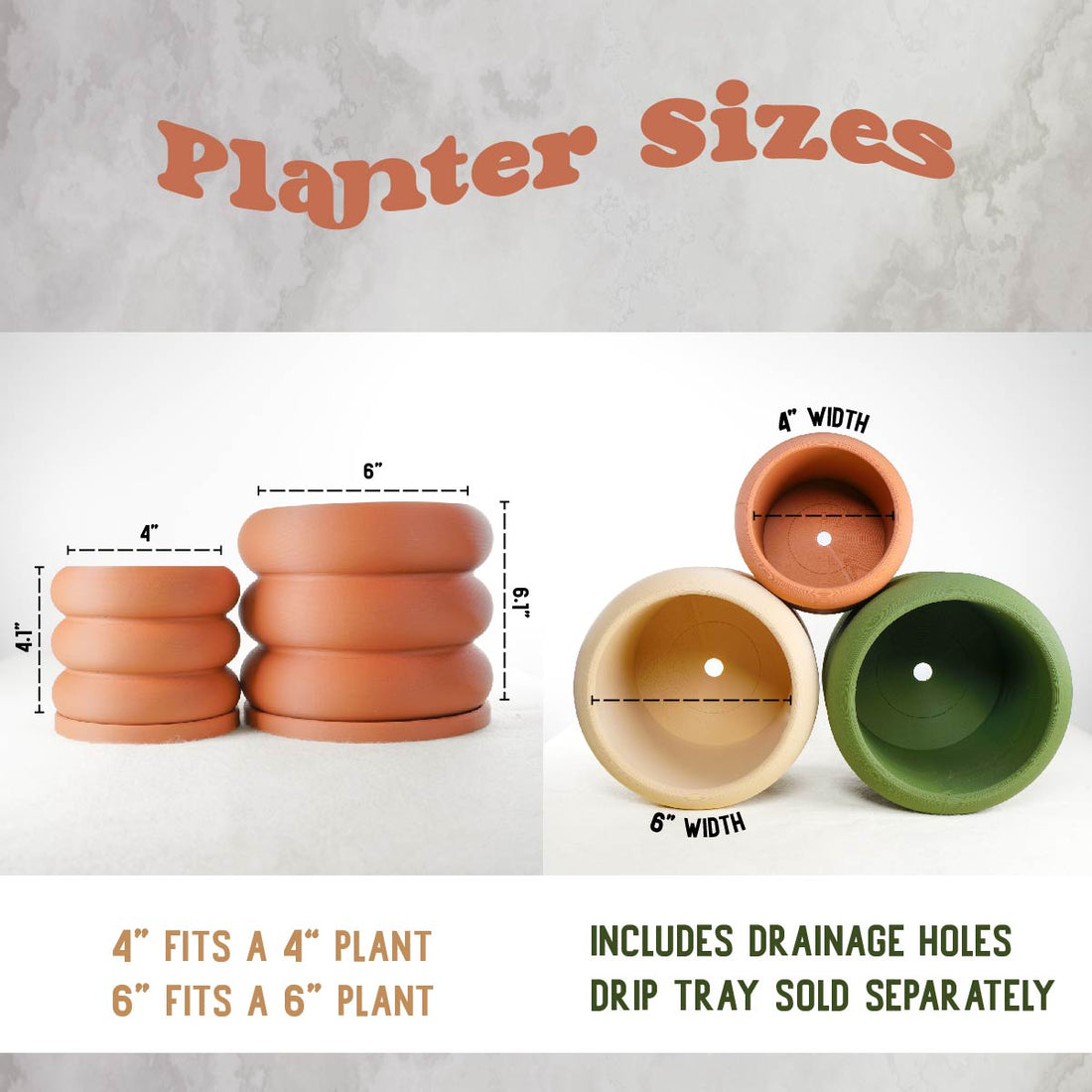 Fan Palm Pot - My American Goods