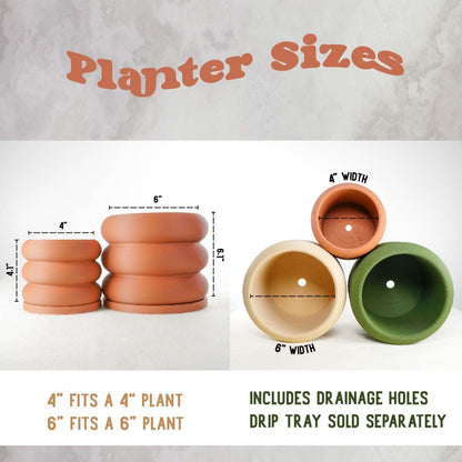 Fan Palm Pot - My American Goods