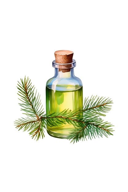 Fir Needle Essential Oil
