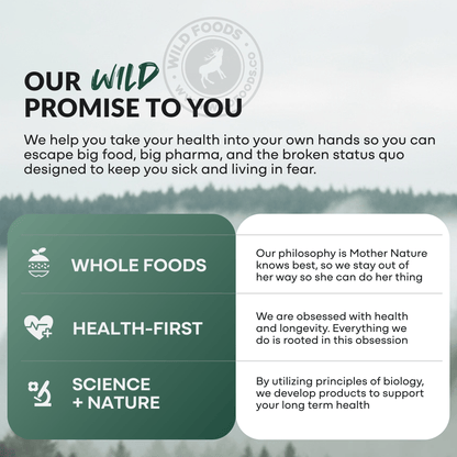 Wild Foods Oils Fish Oil Capsules, 60 servings – Omega-3 for Heart Health &amp; Cognitive Function