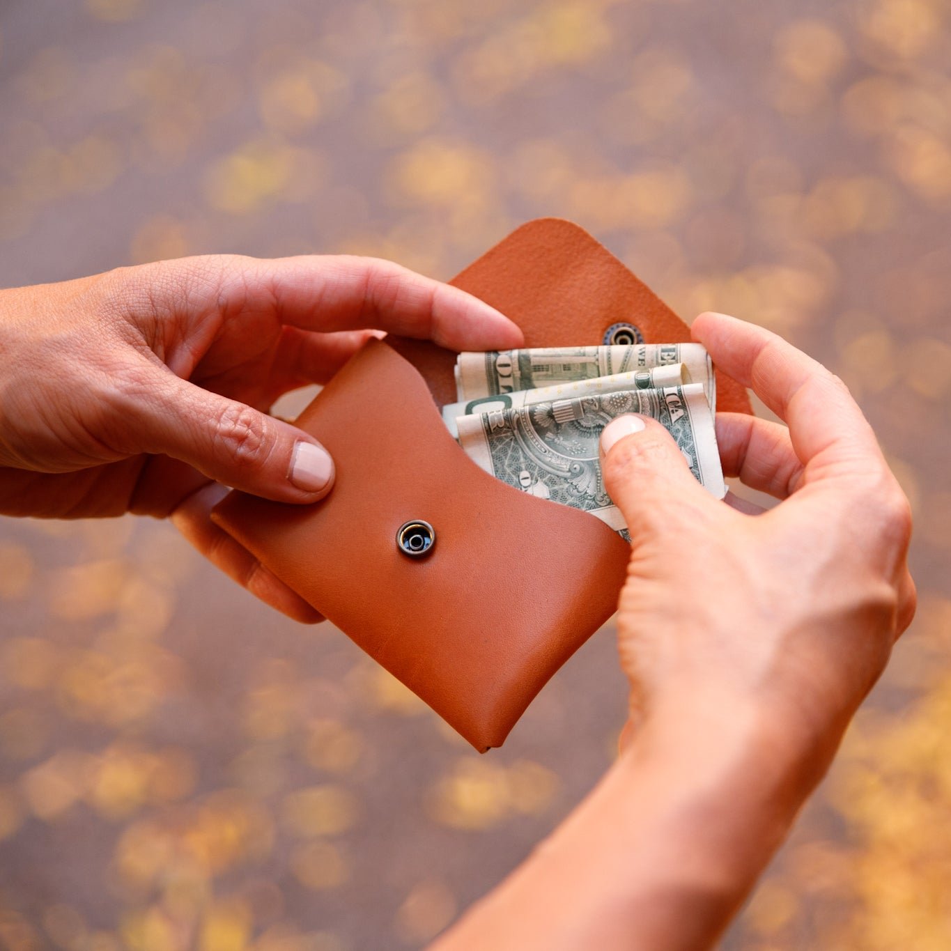 Leather Fold Wallet