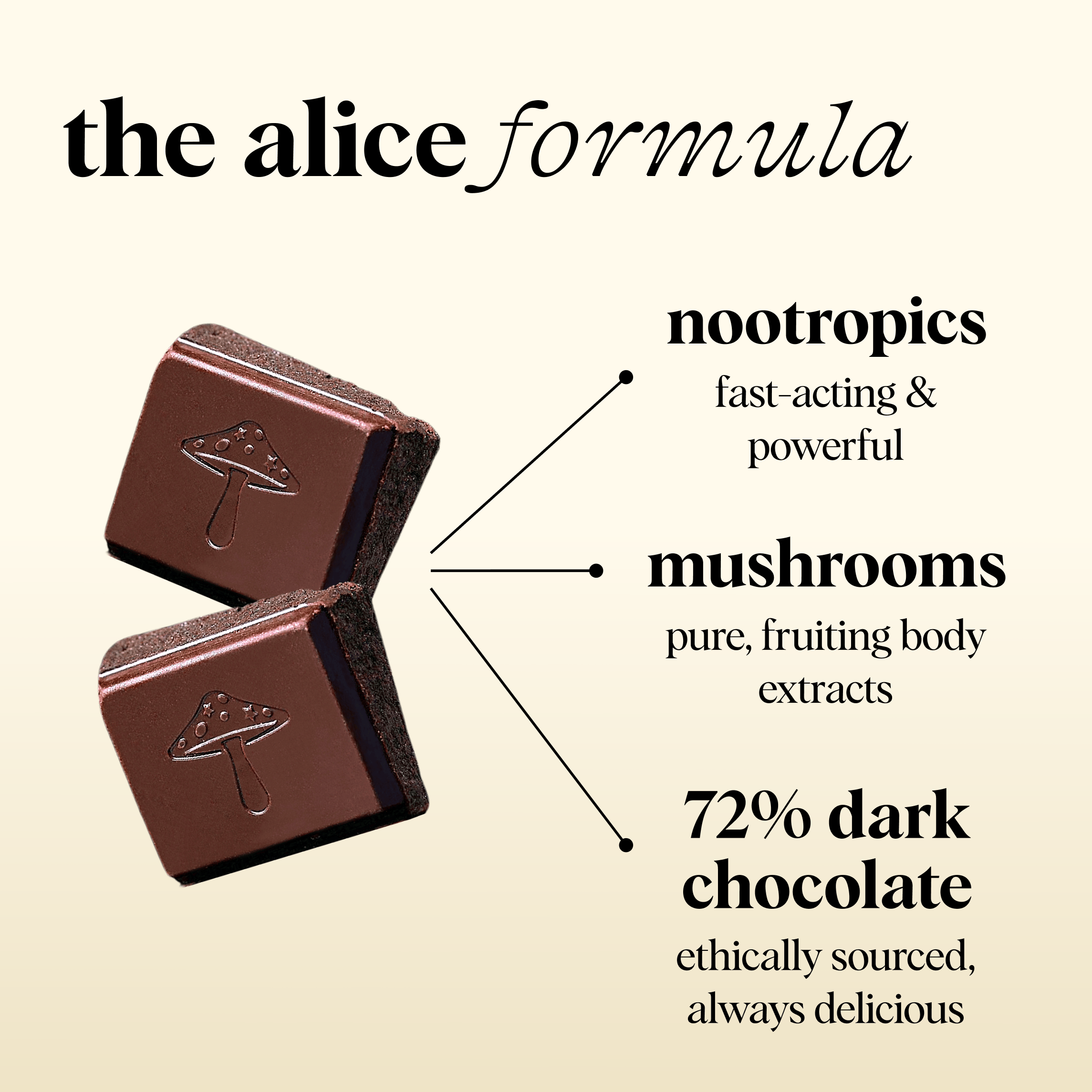 alice mushrooms Party Trick Functional Mushroom Chocolates