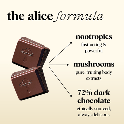 alice mushrooms Party Trick Functional Mushroom Chocolates