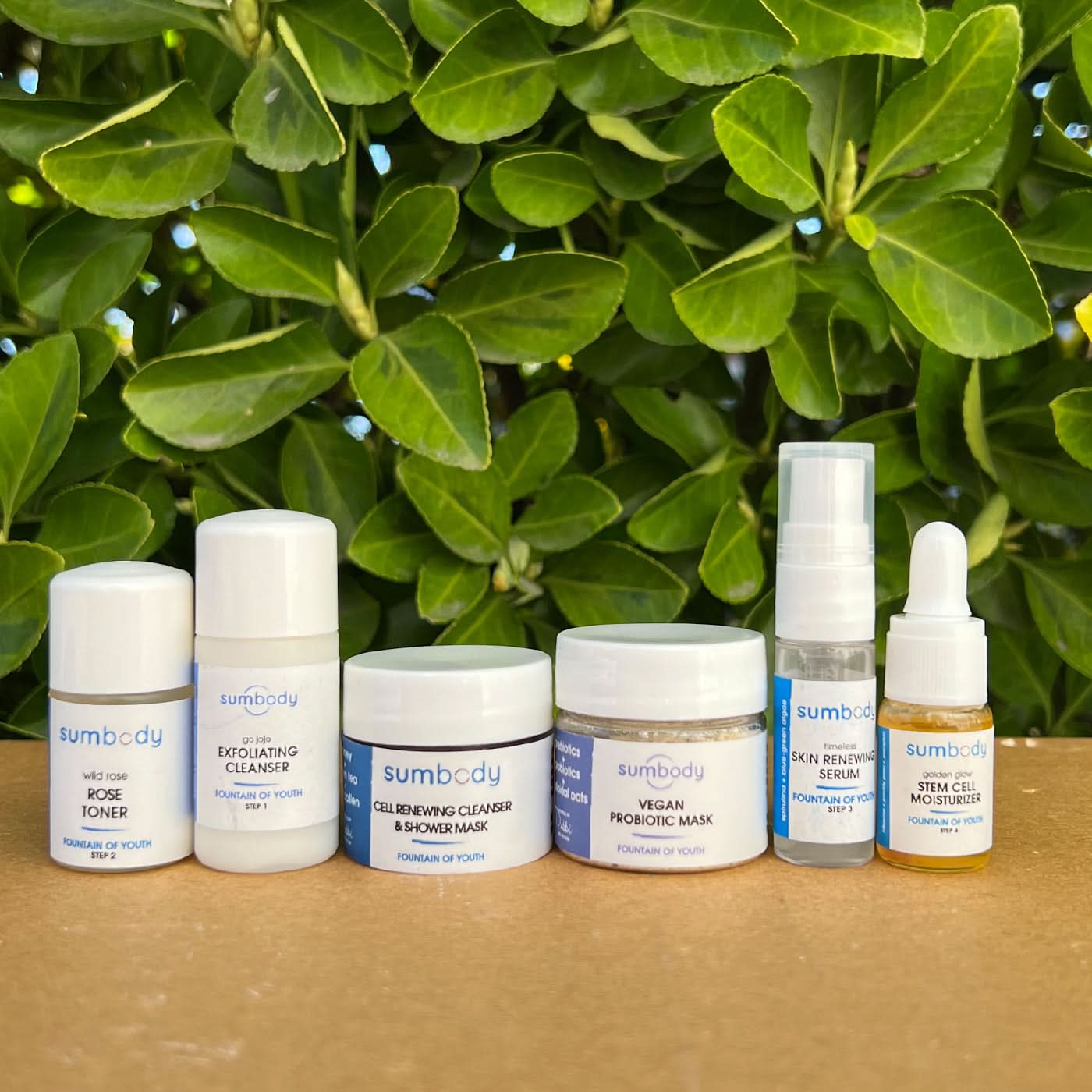 Sumbody Skincare 5 Steps to Perfect Skin Fountain of Youth Mini Kit