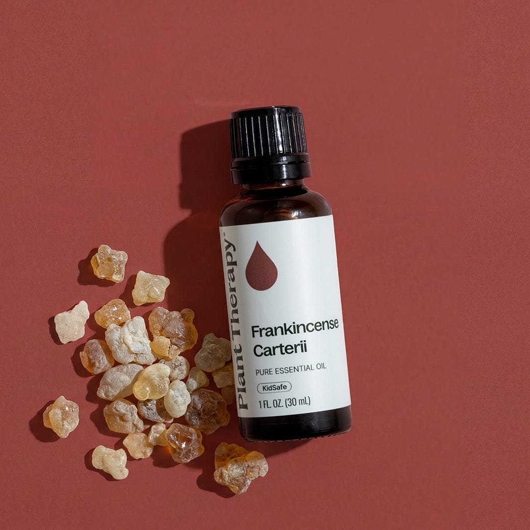 Plant Therapy Essential Oil Frankincense Carterii Essential Oil