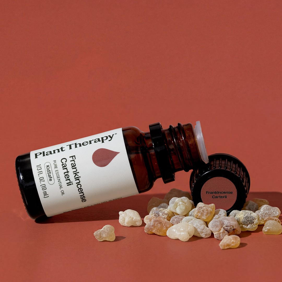 Plant Therapy Essential Oil Frankincense Carterii Essential Oil
