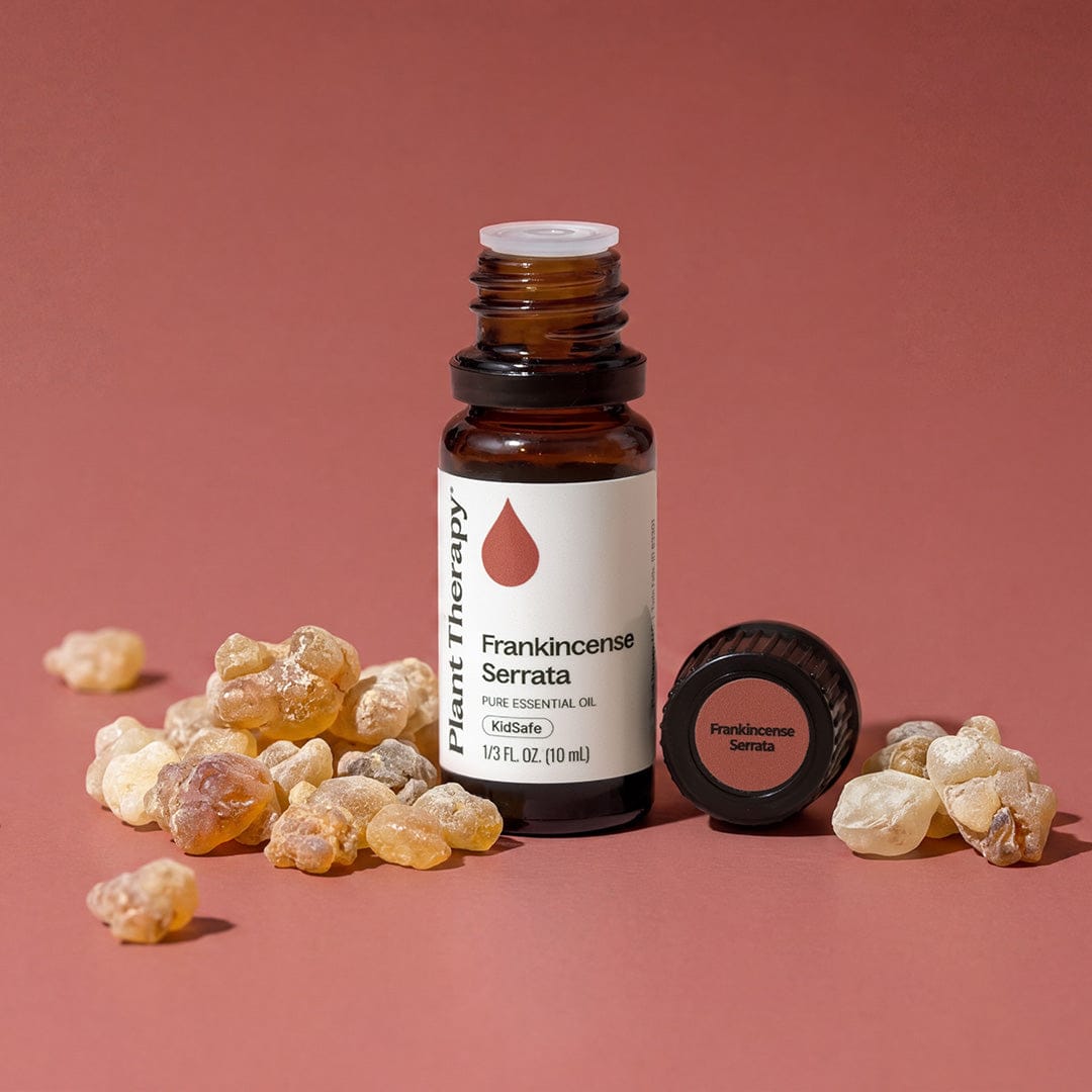 Plant Therapy Essential Oil Frankincense Serrata Essential Oil
