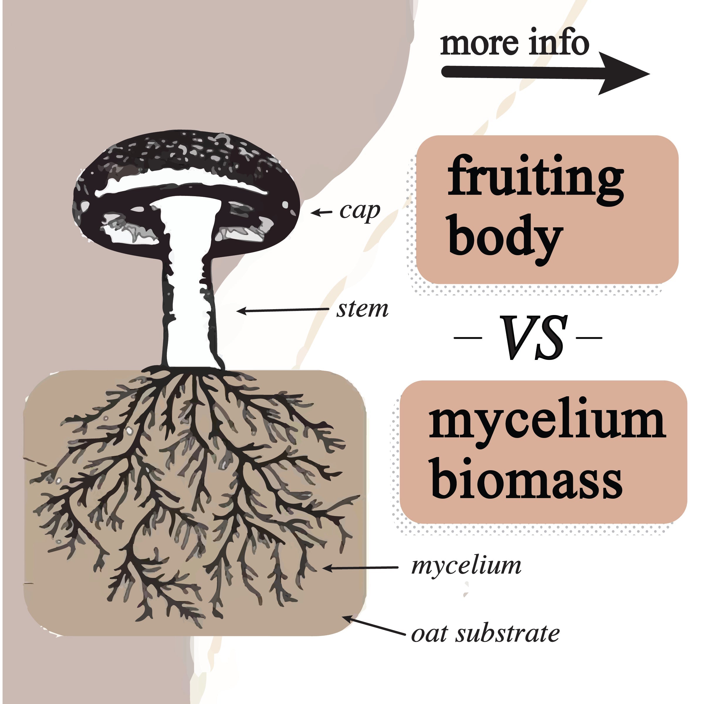 Adaptive Cacao Mushroom Superfood Drink