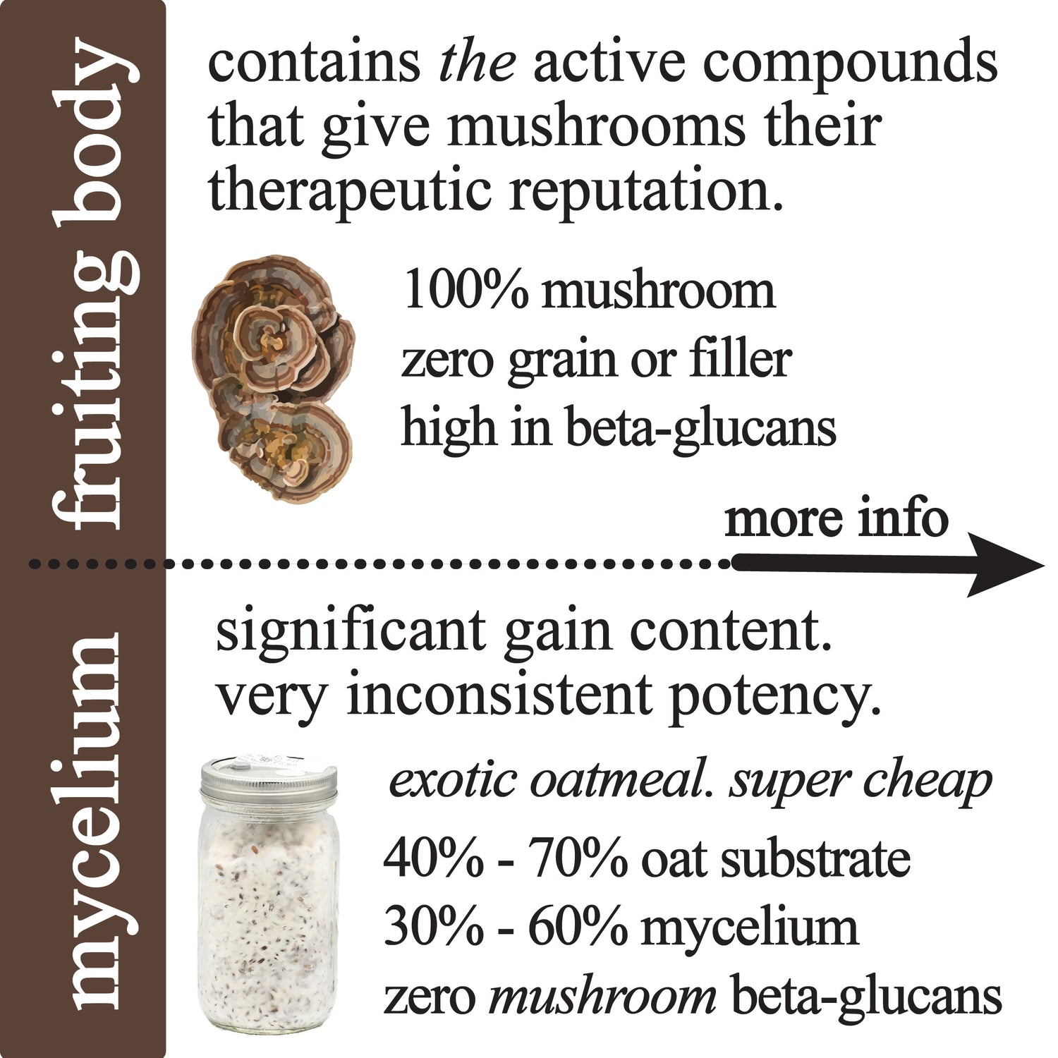 Adaptive Cacao Mushroom Superfood Drink