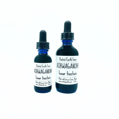 Ashwagandha Tincture - My American Goods