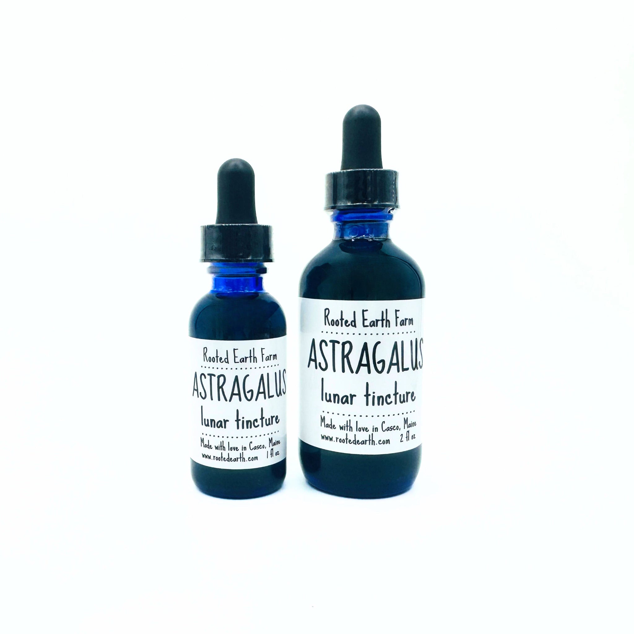 Astragalus Root Tincture - My American Goods