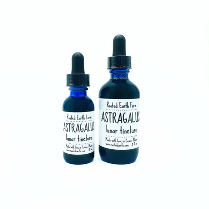 Astragalus Root Tincture - My American Goods