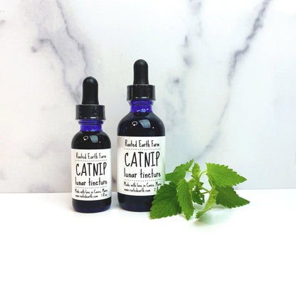 Catnip Tincture - My American Goods