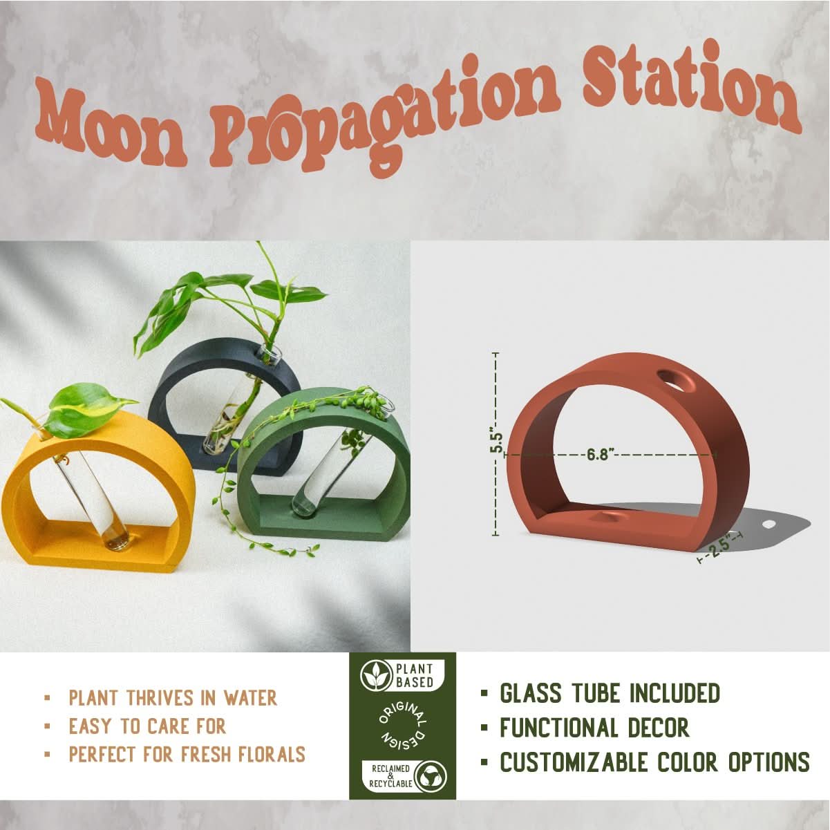 Rosebud HomeGoods Propagation Stand &amp; Tube / Mustard Half-Moon Propagation