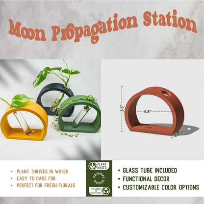 Half-Moon Propagation - My American Goods