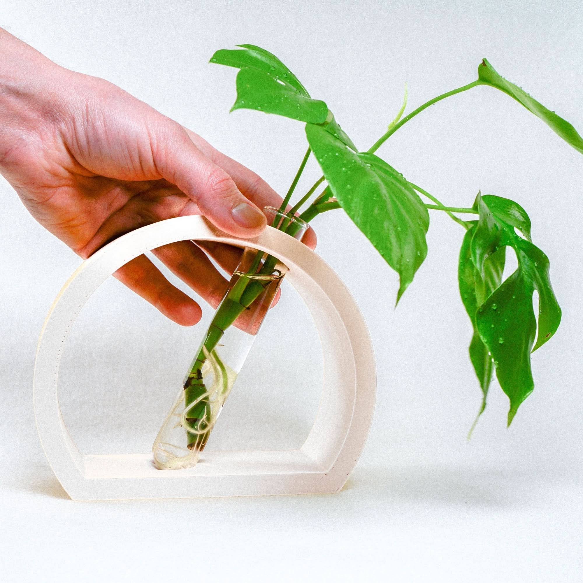 Rosebud HomeGoods Propagation Stand &amp; Tube / White Half-Moon Propagation