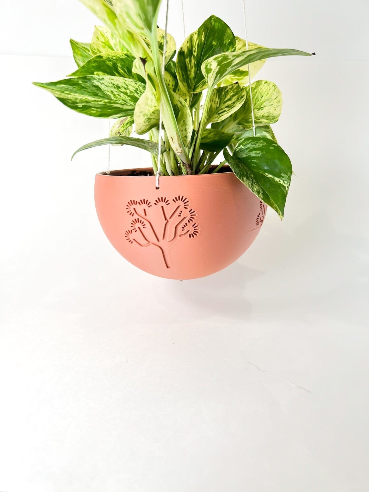 Rosebud HomeGoods Pots &amp; Planters Hanging Joshua Tree Planter