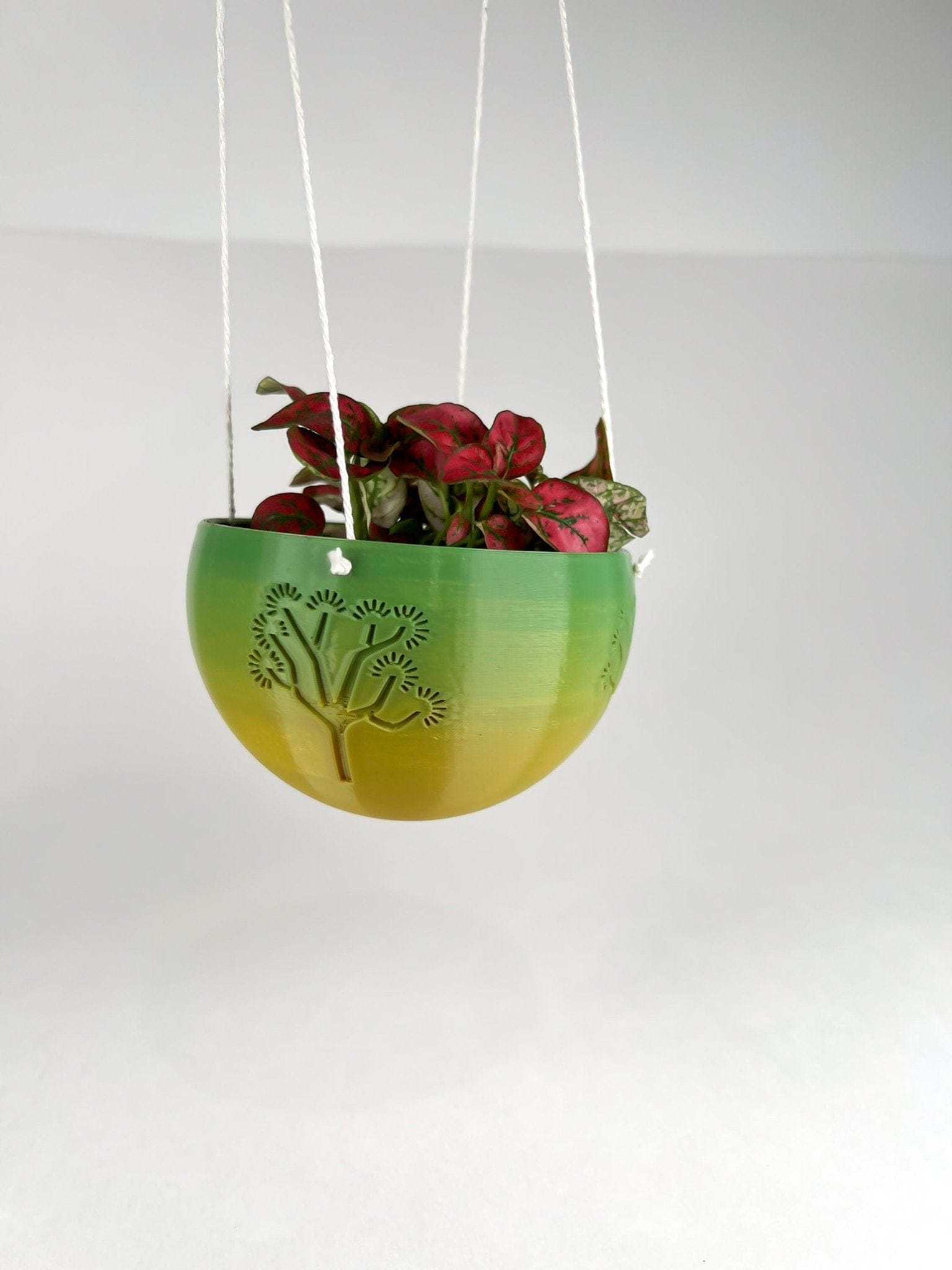 Rosebud HomeGoods Pots &amp; Planters Hanging Joshua Tree Planter