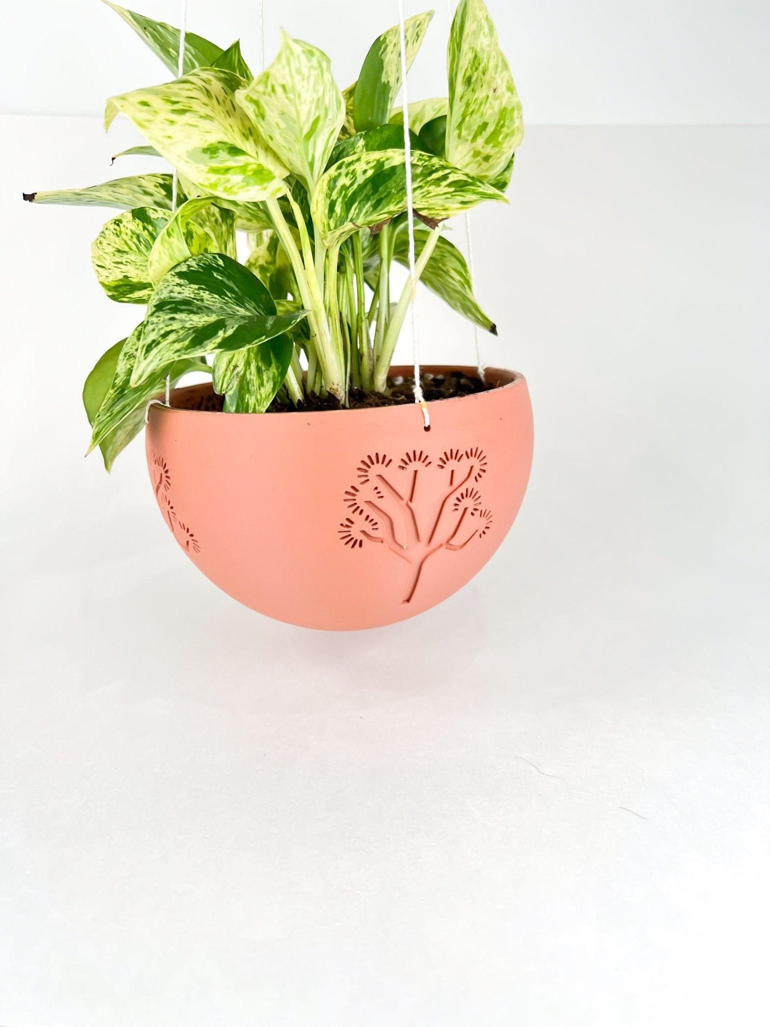 Rosebud HomeGoods Pots &amp; Planters Hanging Joshua Tree Planter