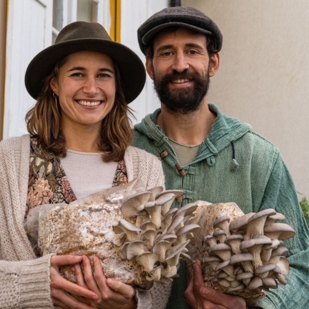 Mushroom Grow Kit Co. Oyster Mushrooms Premium Blue Oyster Mushroom Fruiting Block Grow Kit - 5 LBS