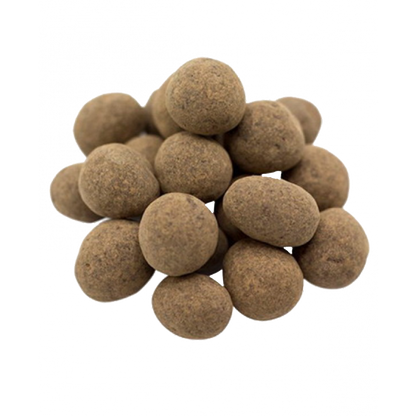Chocolate Covered Sprouted Hazelnuts