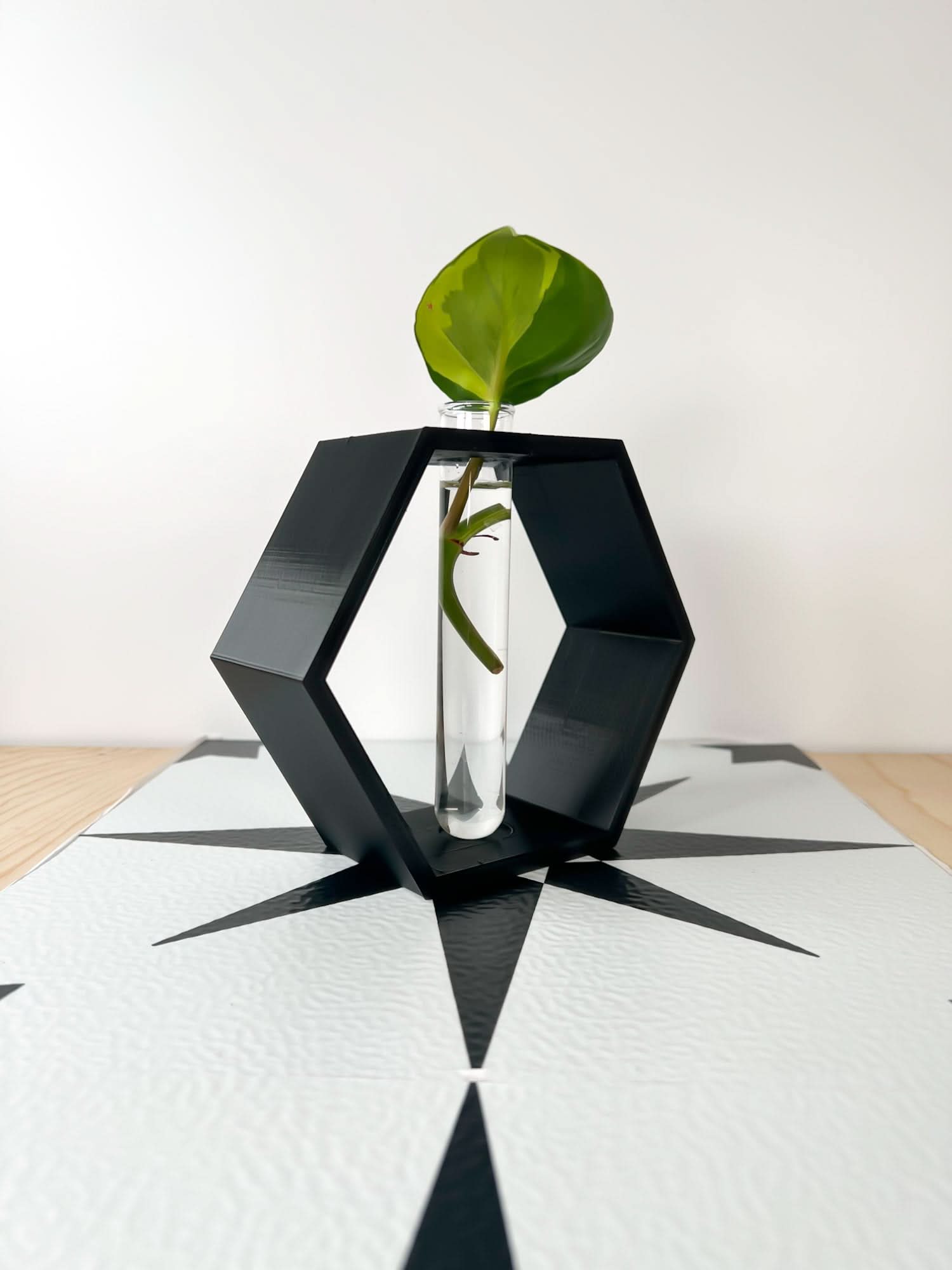Rosebud HomeGoods Hexagon Propagation Station
