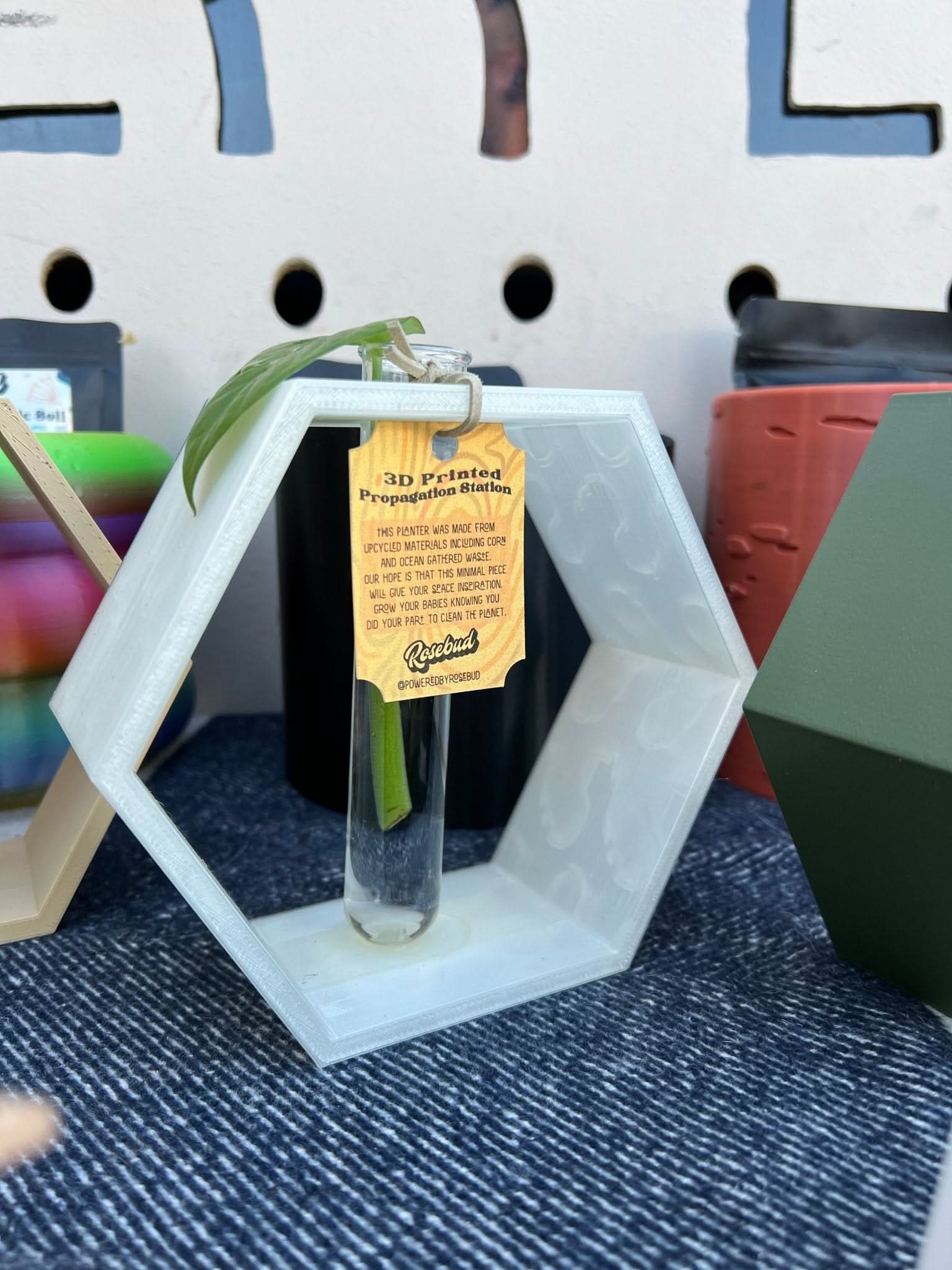 Rosebud HomeGoods Hexagon Propagation Station