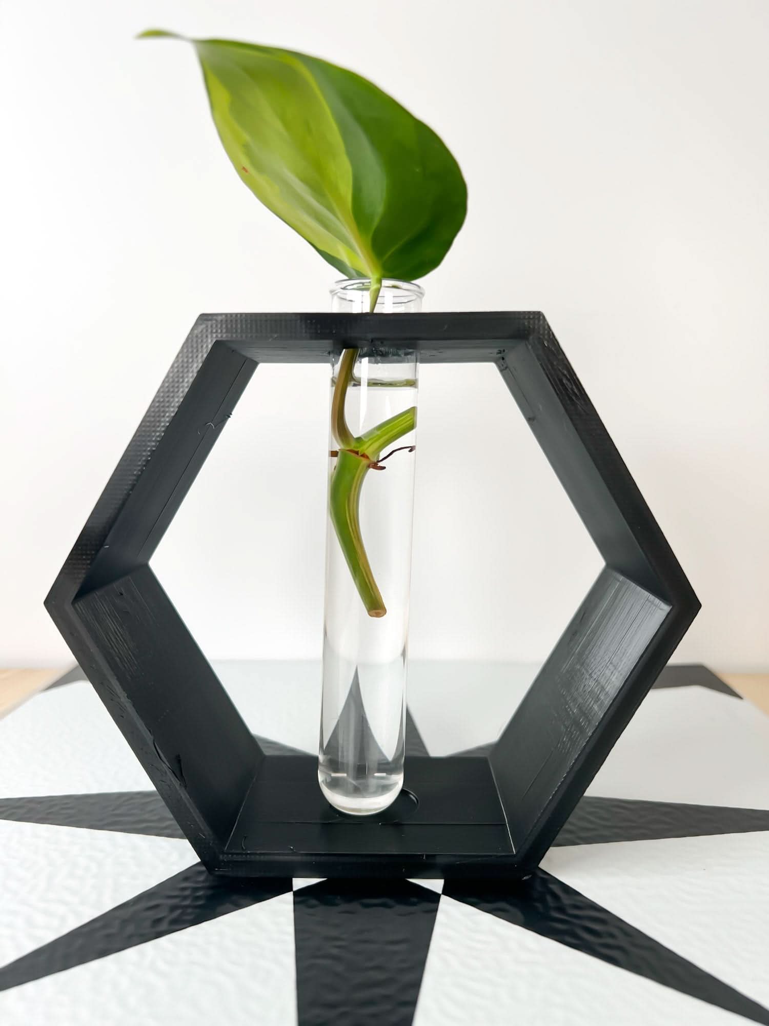 Rosebud HomeGoods Hexagon Propagation Station
