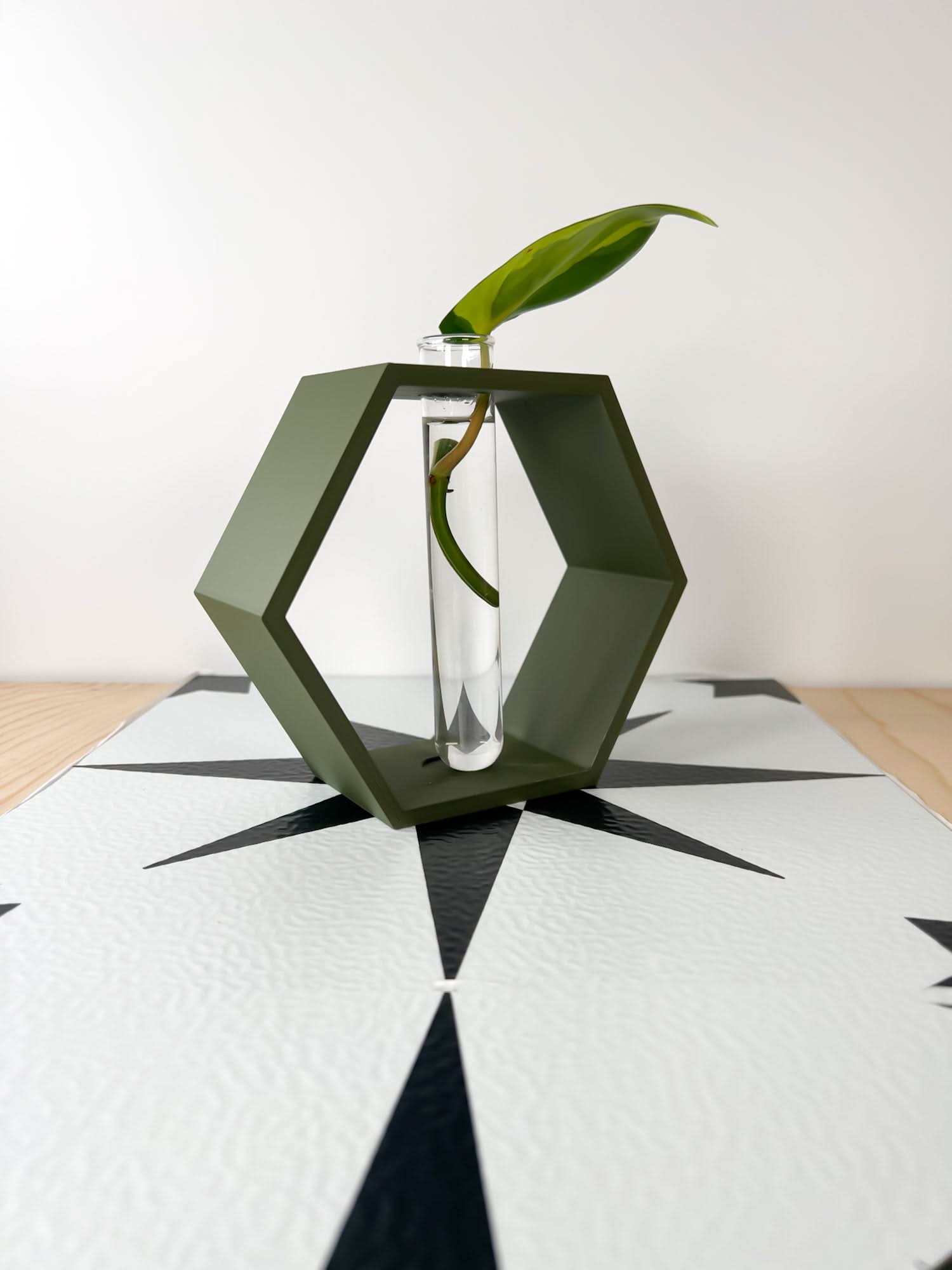 Rosebud HomeGoods Hexagon Propagation Station